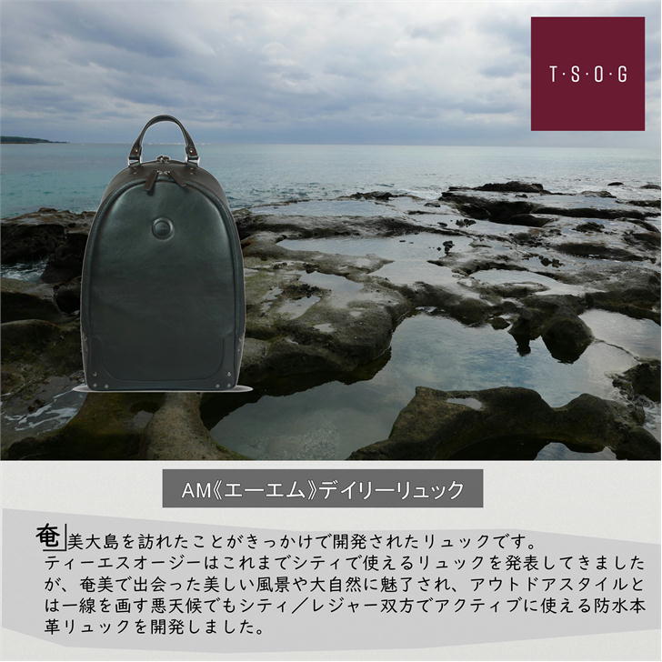 【正規取扱店】T・S・O・G ティーエスオージー AMデイリーリュック ブラック シティリュック ビジネス メンズ レディース 本革 通勤 通学 撥水 防水 おしゃれ 人気 正規品 ドラマ着用 雑誌掲載