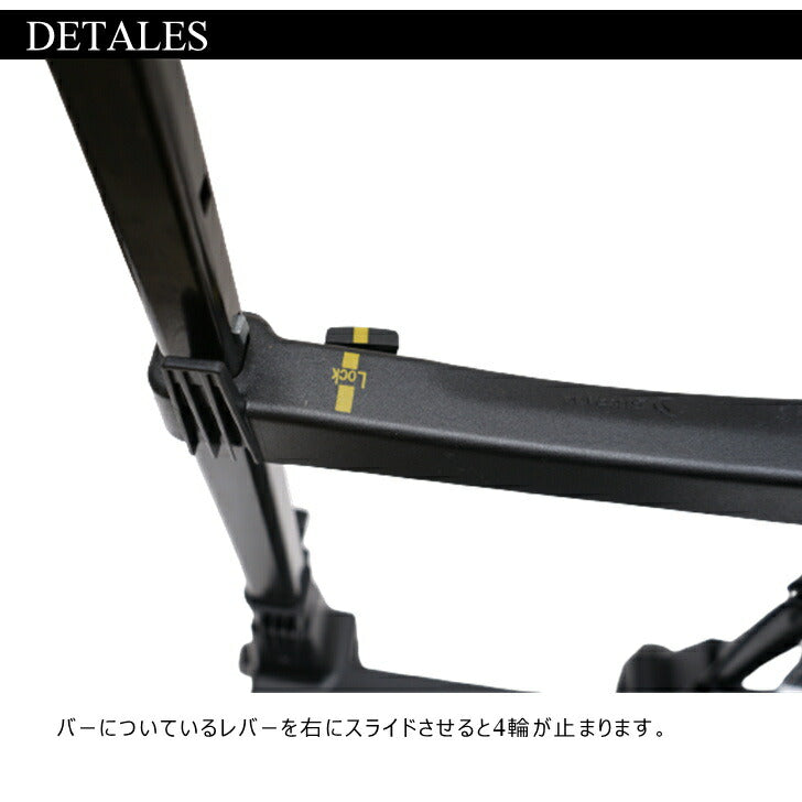 SWANY スワニー B-317 ガイヤ キャリーケース スーツケース ハンドバッグ トートバッグ リュック バックパック 3Way 4輪ストッパー付き メンズ レディース 旅行 出張 普段使い 安全 便利 実用的 快適 送料無料 あす楽《北海層、沖縄、離島代引き不可》