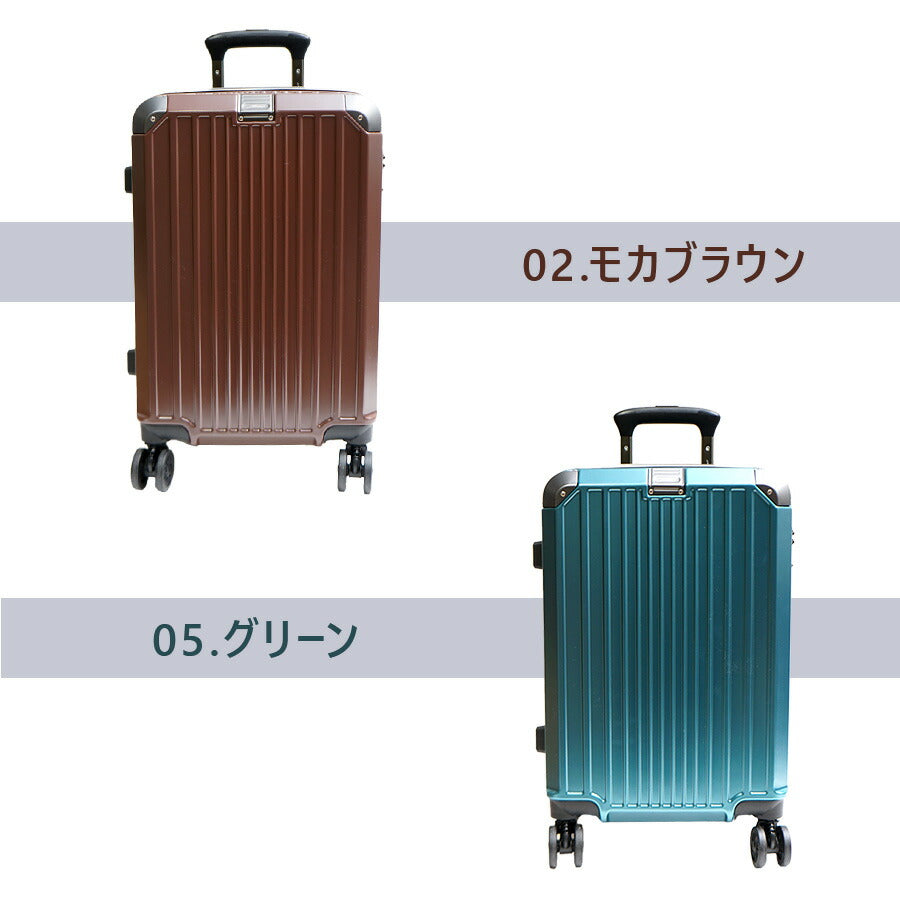 【fine next】103-100 スーツケース 19インチ キャリーケース 1〜2泊 旅行 宿泊 出張 キャリーバッグ TSロック シンプル ファインネクスト モカブラウン グリーン C.ピンク ガンメタリック 使いやすい おしゃれ お出かけ 大容量 ユニセックス