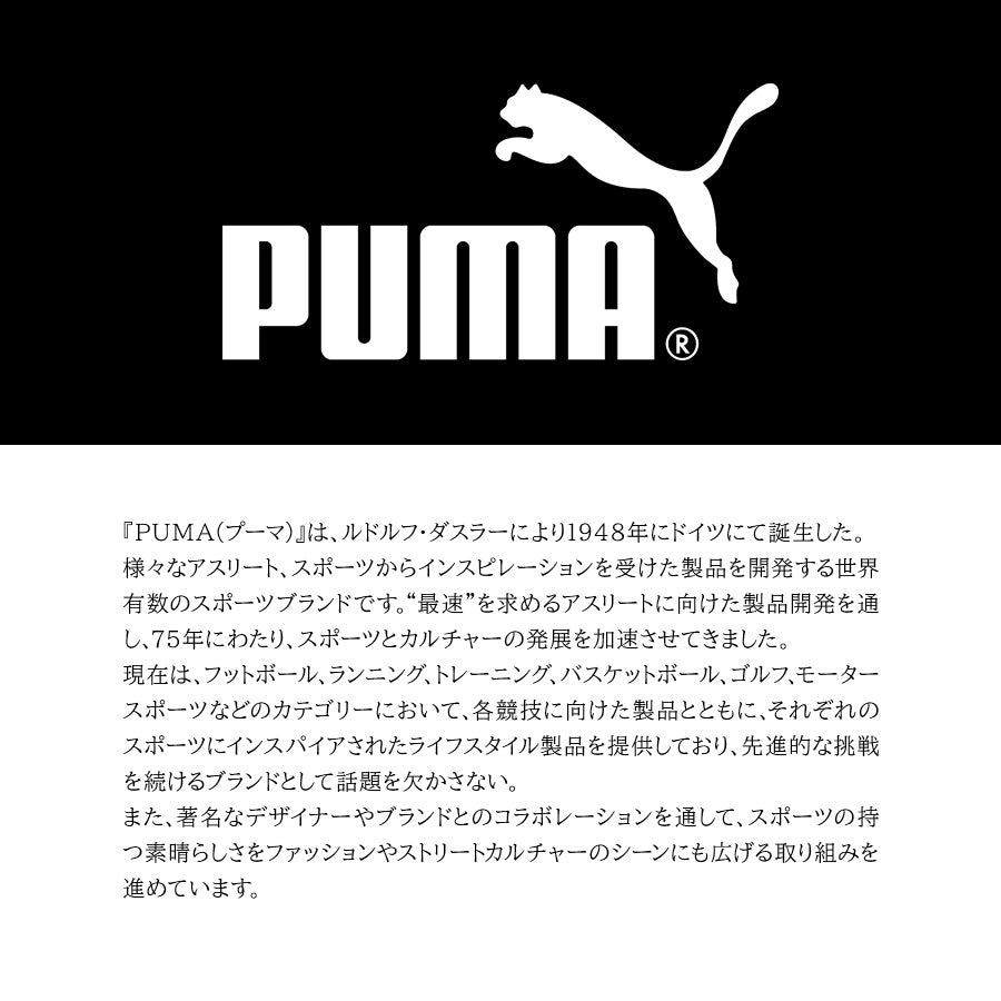 【PUMA】J20316 セッション 横型ショルダーバッグ メンズ 斜め掛け かばん カバン 鞄 バッグ ショルダー シンプル プーマ ホワイト ブラック オレンジ 使いやすい かっこいい おしゃれ お出かけ 普段使い 日常 大人 父の日 敬老の日
