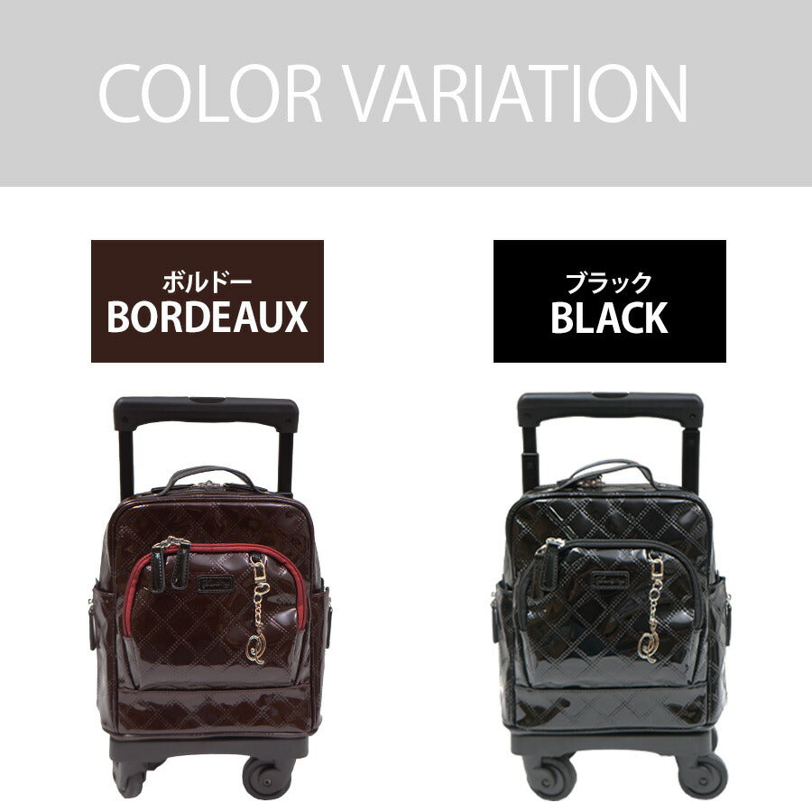 【SWANY】D-591 TS15 エマイロVI キャリーバッグ スワニー お買い物 旅行 ショッピング 7L コンパクト 小さめ 4輪 取り外し可能 かわいい おしゃれ 使いやすい プレゼント ギフト 母の日 敬老の日 誕生日