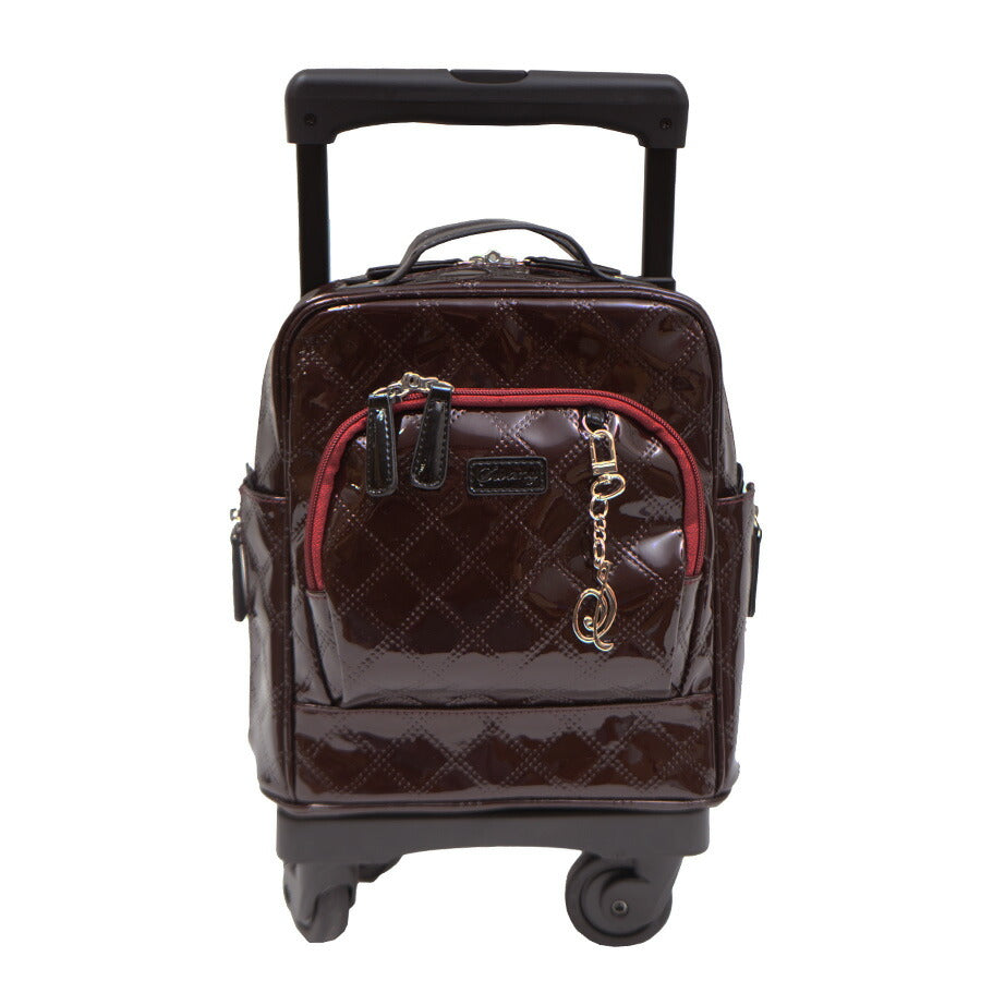 【SWANY】D-591 TS15 エマイロVI キャリーバッグ スワニー お買い物 旅行 ショッピング 7L コンパクト 小さめ 4輪 取り外し可能 かわいい おしゃれ 使いやすい プレゼント ギフト 母の日 敬老の日 誕生日