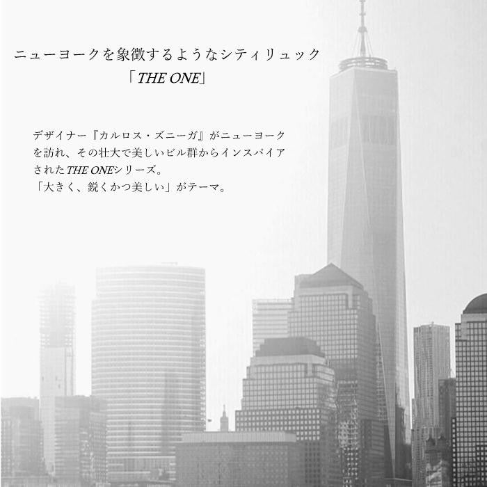 【正規取扱店】T・S・O・G ティーエスオージー THEONE ザ・ワン ブラック シティリュック バックパック メンズ レディース ユニセックス ビジネス 本革 通勤 通学 撥水 おしゃれ 人気 正規品 送料無料 ドラマ着用 雑誌掲載