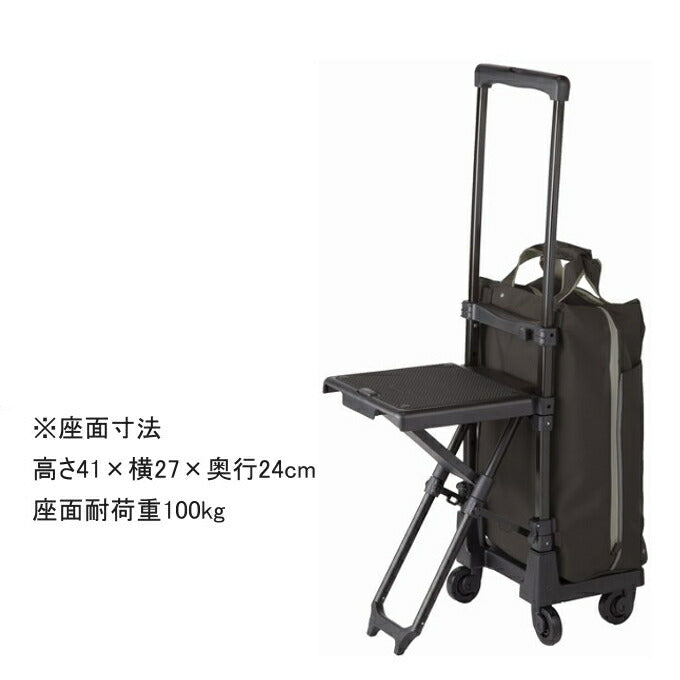 ポイント10倍 SWANY スワニー プレーネ2 座面、ストッパー付き4輪キャリーバッグ おしゃれ レディース  ショッピングキャリー お買い物カート お買い物キャリー 送料無料