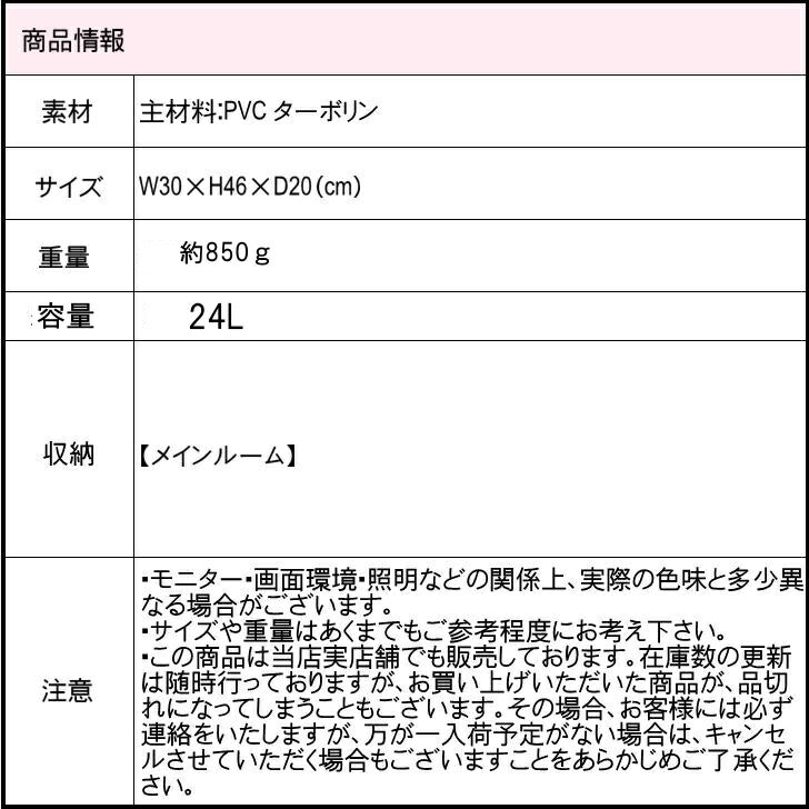 MarkGonzales マークゴンザレス WTMG-502 24L 防水 リュック バックパック メンズ レディース 男女兼用 普段使い 防水バッグ スク—ル 通学 学生 部活 梅雨 プール アウトドア  おしゃれ 送料無料